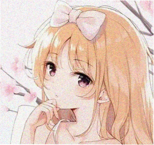 观众头像 沙漠玫瑰
